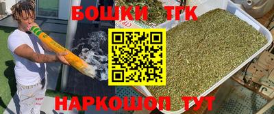 мдпв Новодвинск