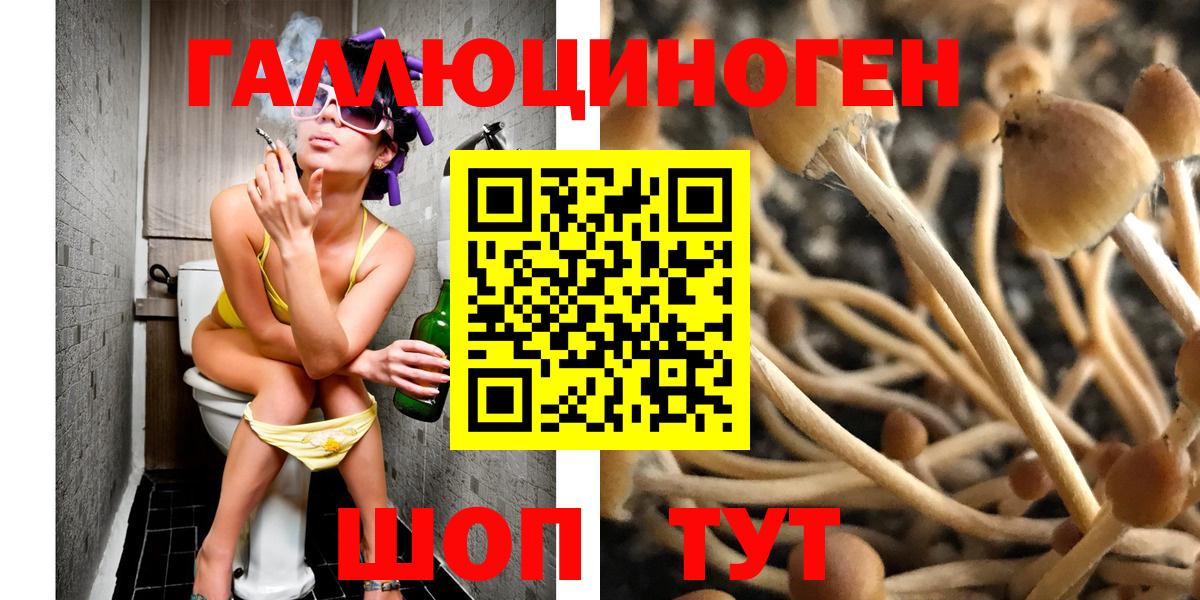 Томск  где купить наркоту  Вход с VPN  Галлюциногенные грибы Psilocybine cubensis 