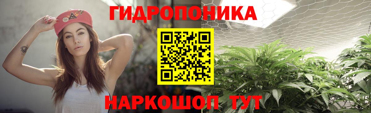 Каннабис Ganja  Вход с VPN  Конопля сатива  МАРИХУАНА марихуана  Конопля Bruce Banner  Томск 